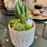 Cacti Arrangement w Quartz