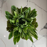 Succulent Arrangement in Spotted Blue Ceramic