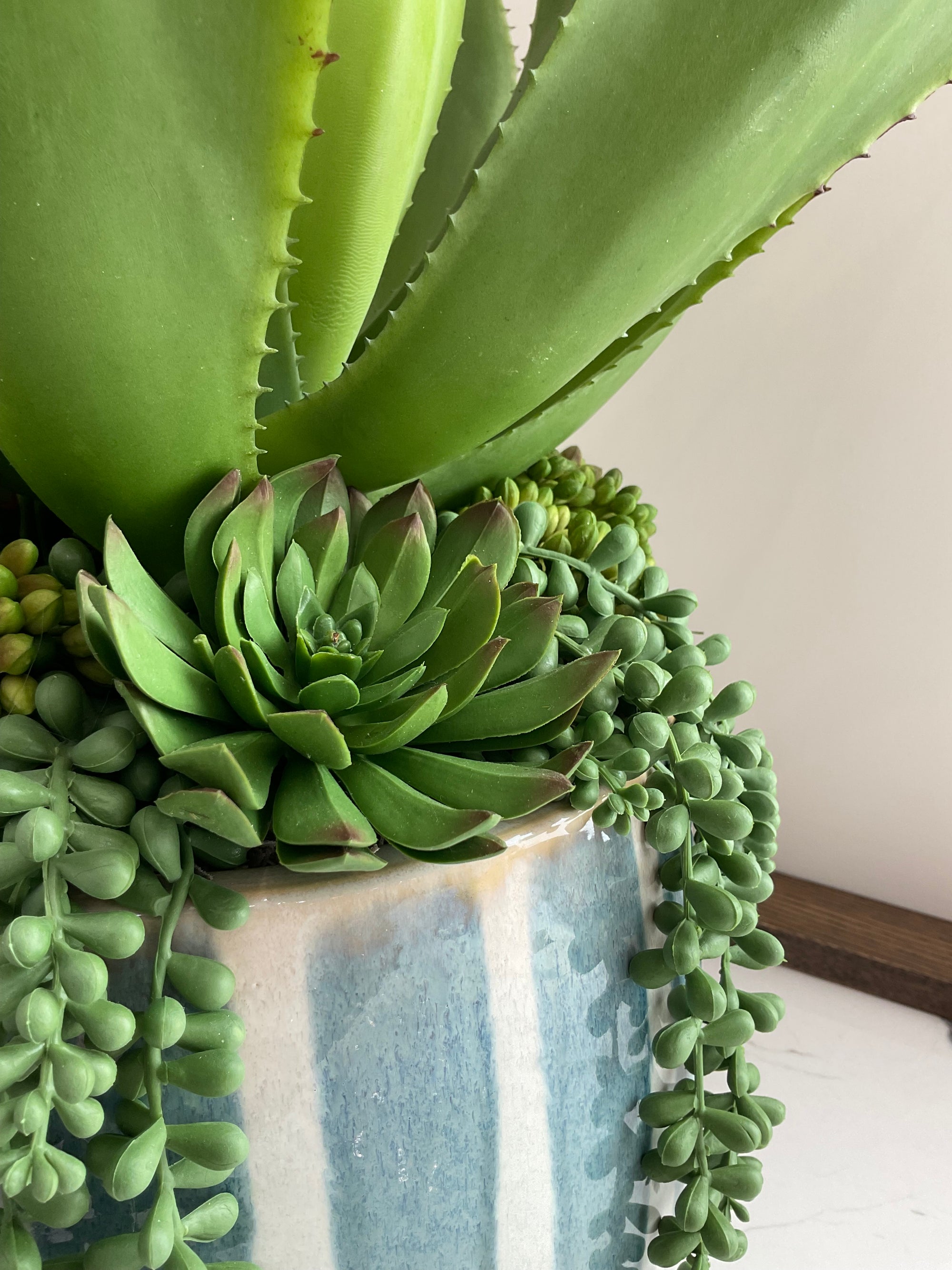 Blue Striped Vase Aloe Vera