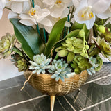 Orchid Arrangement in Gold Pot