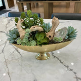 Succulent Arrangement in Gold Bowl with Quartz