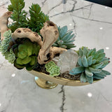 Succulent Arrangement in Gold Bowl with Quartz