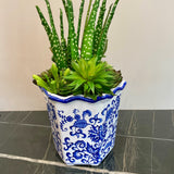 Succulent Arrangement in Blue Vase