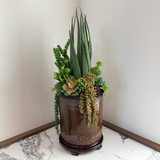 Antique Chinese Water Pot Waterless Succulent Arrangement