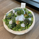 Large Plant Crystal Arrangement in Wooden Bowl