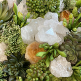 Large Plant Crystal Arrangement in Wooden Bowl