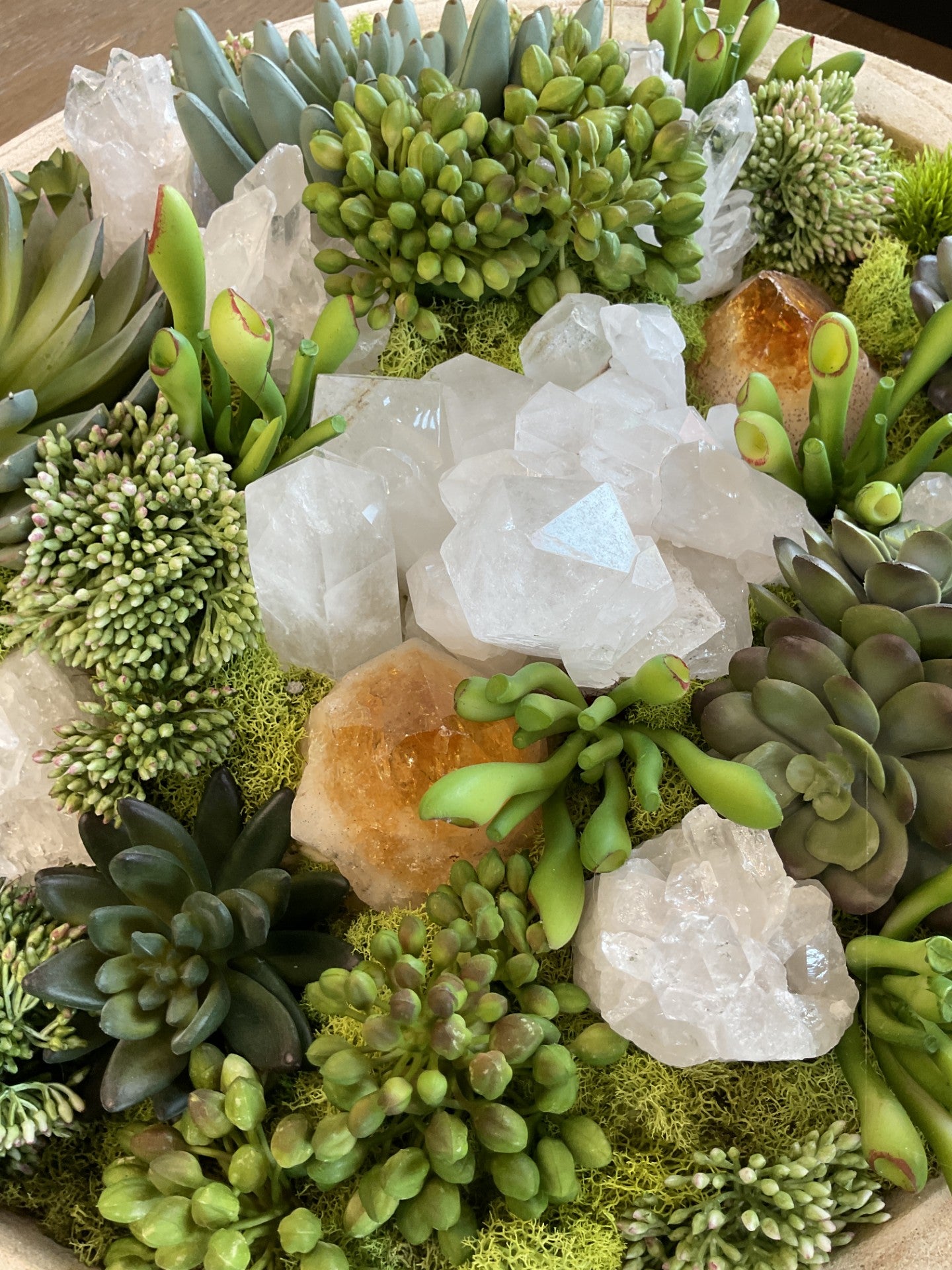 Large Plant Crystal Arrangement in Wooden Bowl