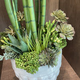 Tall Succulent Arrangement in White Pot